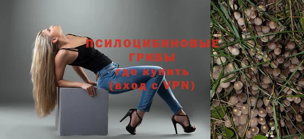 метамфетамин Богданович