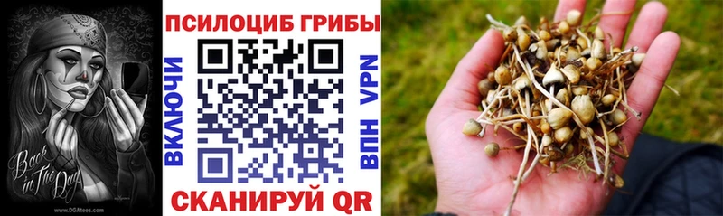 Галлюциногенные грибы Cubensis  блэк спрут tor  Электроугли 